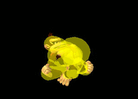 DonkeyKongUAirSSBM.gif