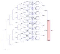 Pound 4 Brawl singles bracket.jpg