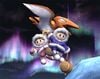 The Condor as it appears in Brawl, as the Ice Climbers' entrance.