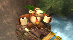 DK Z P+.png