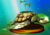 Turtle Trophy.png