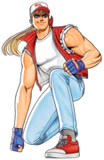 Terry Bogard - SmashWiki, The Super Smash Bros. Wiki