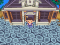 Town Hall in Wild World.
