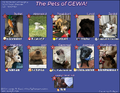 Thumbnail for version as of 15:08, July 11, 2026