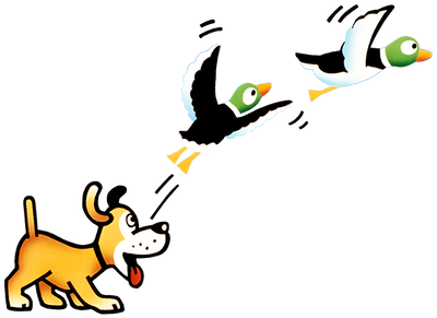 Carte Duck Hunt