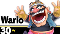 Wario's fighter card.